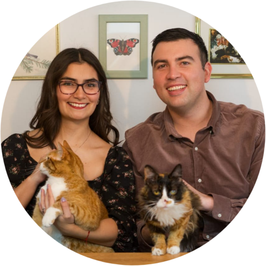 img 20251227 wa0019(1)