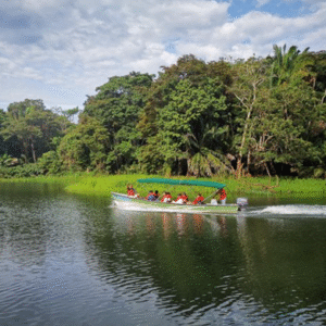 paseo en catamarán por la isla de toboga
