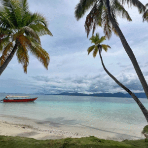 paseo en catamarán por la isla de toboga